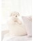 【Sleep】DOGクッション