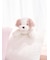 【Sleep】DOGクッション
