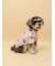 【CAT&DOG】シュナウザー柄カットソープルオーバー