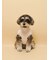 【CAT&DOG】ベビモコシュナウザー柄プルオーバー