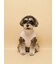 【CAT&DOG】ベビモコシュナウザー柄プルオーバー
