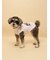 【CAT&DOG】ベビモコシュナウザー柄プルオーバー