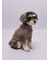 【CAT&DOG】ベビモコシュナウザー柄プルオーバー