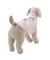 【CAT&DOG】ベビモコシュナウザー柄プルオーバー