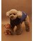 【CAT&DOG】マフラーDOGモチーフトイ