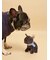 【CAT&DOG】マフラーDOGモチーフトイ