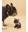 【CAT&DOG】マフラーDOGモチーフトイ