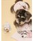 【CAT&DOG】マフラーDOGモチーフトイ