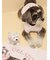 【CAT&DOG】マフラーDOGモチーフトイ