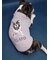 【CAT&DOG】ベビモコフレンチブルドッグ柄プルオーバー
