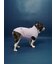 【CAT&DOG】ベビモコフレンチブルドッグ柄プルオーバー