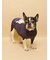 【CAT&DOG】ベビモコフレンチブルドッグ柄プルオーバー
