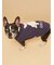 【CAT&DOG】ベビモコフレンチブルドッグ柄プルオーバー