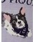 【CAT&DOG】ベビモコフレンチブルドッグ柄ブランケット