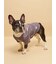 【CAT&DOG】フレンチブルドッグ柄カットソープルオーバー