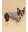 【CAT&DOG】フレンチブルドッグ柄カットソープルオーバー