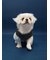 【CAT&DOG】ベビモコスペースシップ柄ニットプルオーバー