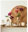 CLAY　visco M