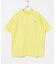 LACOSTE　アウトラインクロッククルーネックTシャツ