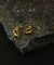 SMELLY so’　asymmetric solid pierce