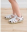 Salt Water Sandals　SS Shark(KIDS)