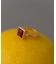 SMELLY so’　square carnelian ring