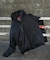 『別注』NANGA×DOORS　AURORA TEX DOWN PARKA