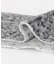THE INOUE BROTHERS　Two Colour Woolly Scarf