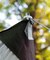 『別注』tent-Mark DESIGNS×EKAL　サーカスTCDXテントフラップ
