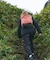 HIKE PANTS