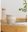 石松信彦　oats mug