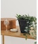 amabro　ART STONE SS BK