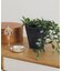 amabro　ART STONE SS BK