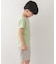 DANTON　KIDS T／C INNER T-SHIRTS(KIDS)