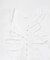 Picchi Nia 　ARCHITECT WHITE