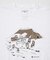 『別注』Snow Peak Apparel×DOORS　WA／AC FAMILY CAMP T-SHIRTS