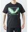 Cotton Expressions　AURORA T-SHIRTS