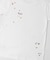 Teya　STICKER T-SHIRTS