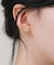 ステンレスフレームビジューピアス
