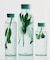HAY　Miz Water Bottle 0.54L