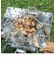 炭火もも焼き器