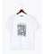 アソートネコフォトスタンダードTシャツ