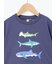 【吸水速乾】サメプリントTシャツ