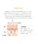 ブロック＆ブロック パーフェクト プロテクション（SPF50+ PA++++ UV耐水性★★）
