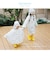 【SALE】レインコート
