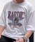 アメリカヴィンテージ ストリートハーフTシャツ