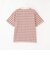 バッキンガムベア マルチボーダーTシャツ