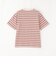 バッキンガムベア マルチボーダーTシャツ