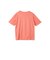 【WEB限定】【3サイズ】コットン汗じみ防止カットソー≪洗える/接触冷感≫