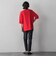 【大きいサイズ/新色追加】Tシャツニット